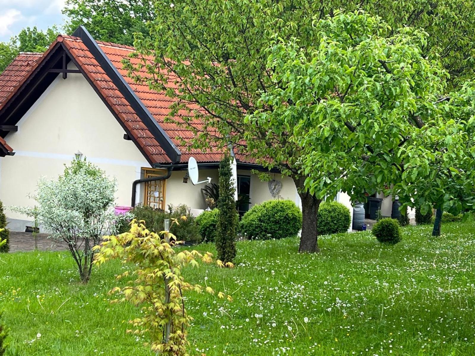 Ferienwohnung Dorner 施皮尔费尔德 外观 照片